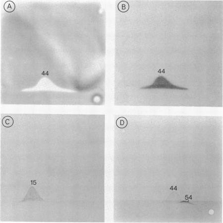 https://cdn.ncbi.nlm.nih.gov/pmc/blobs/3ca4/221727/e4084cd3781d/jbacter00249-0463-a.jpg
