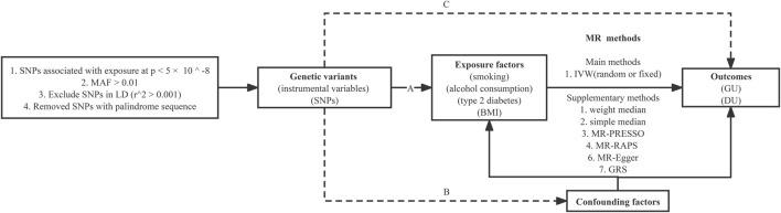 https://cdn.ncbi.nlm.nih.gov/pmc/blobs/3ca4/9852705/9b0f1cb1de9a/fgene-13-992080-g001.jpg
