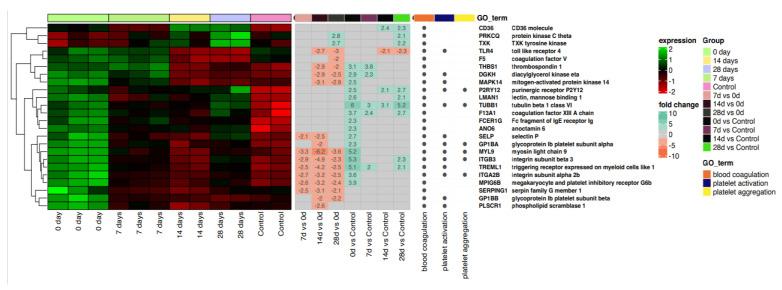 https://cdn.ncbi.nlm.nih.gov/pmc/blobs/3ca7/10707633/8cfc959cbf4c/ijms-24-17003-g003.jpg