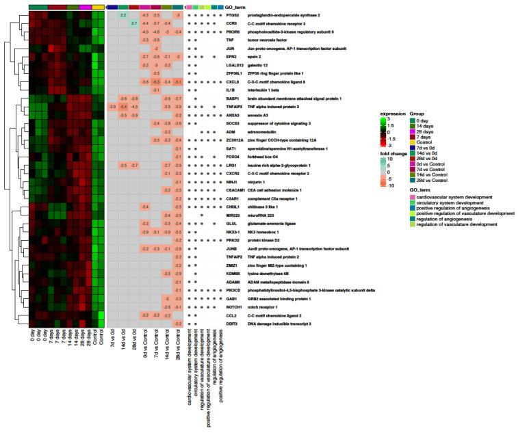 https://cdn.ncbi.nlm.nih.gov/pmc/blobs/3ca7/10707633/ef4abe85b361/ijms-24-17003-g004.jpg