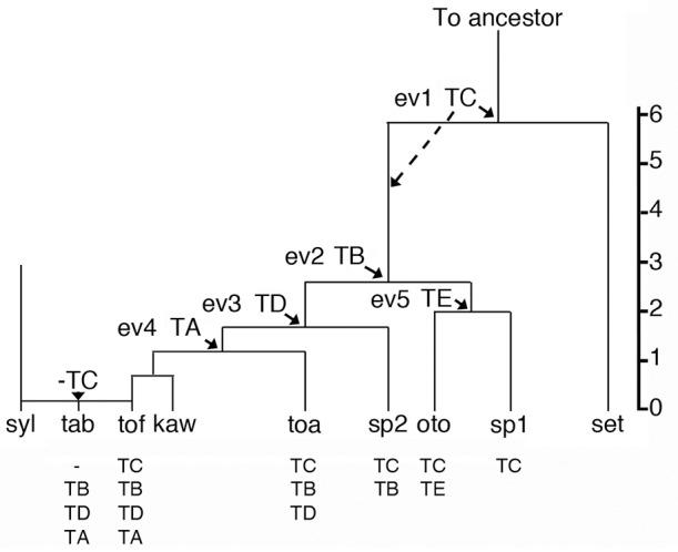 https://cdn.ncbi.nlm.nih.gov/pmc/blobs/3ca7/5606197/c8798e6c42de/fpls-08-01600-g0001.jpg