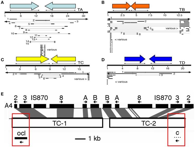 https://cdn.ncbi.nlm.nih.gov/pmc/blobs/3ca7/5606197/f168b14bd79a/fpls-08-01600-g0002.jpg