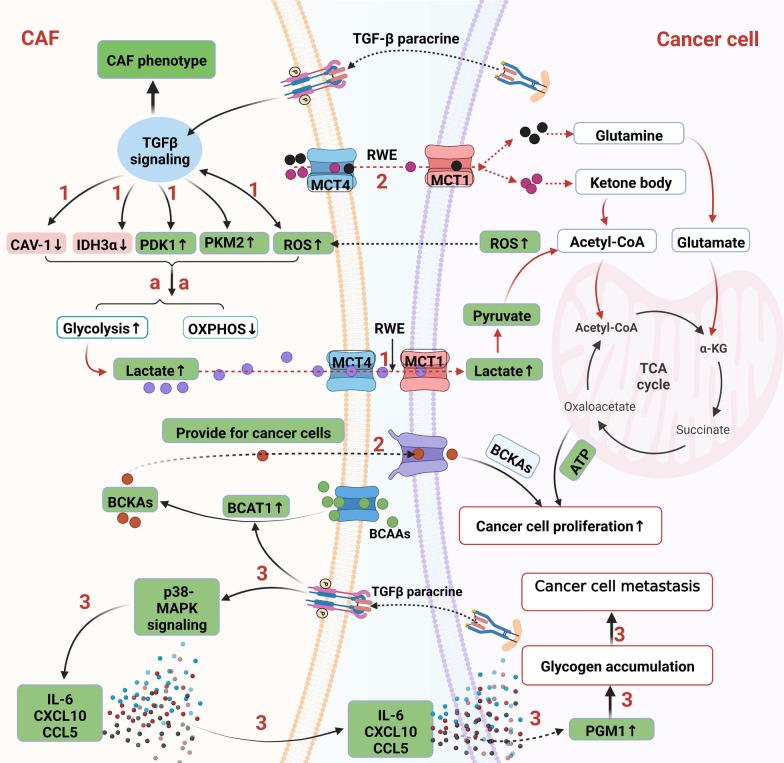 https://cdn.ncbi.nlm.nih.gov/pmc/blobs/3ca7/9482317/1cf00541ac35/13045_2022_1349_Fig4_HTML.jpg