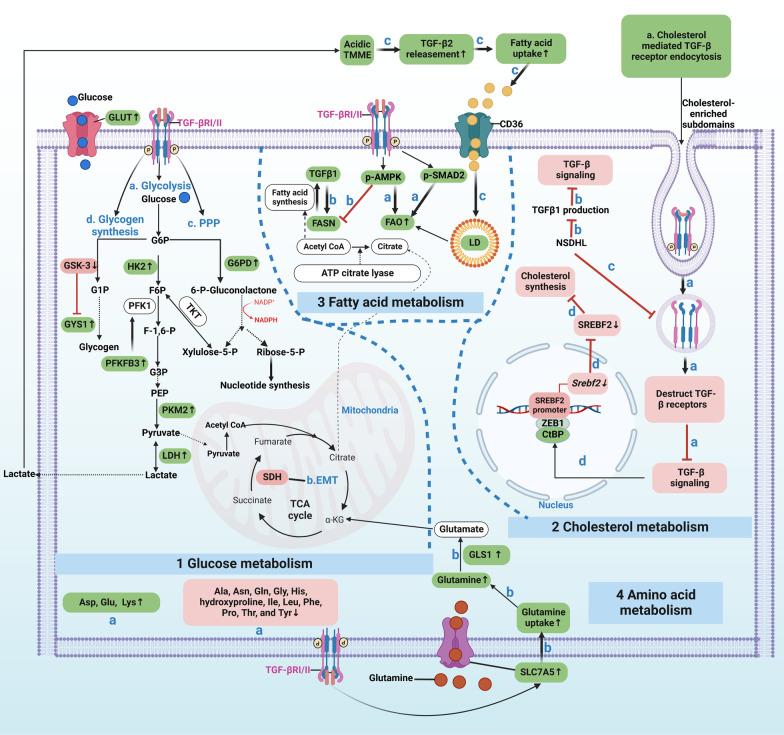 https://cdn.ncbi.nlm.nih.gov/pmc/blobs/3ca7/9482317/28cf0f3da38c/13045_2022_1349_Fig3_HTML.jpg