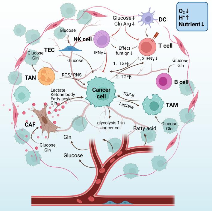 https://cdn.ncbi.nlm.nih.gov/pmc/blobs/3ca7/9482317/3aca64997851/13045_2022_1349_Fig5_HTML.jpg