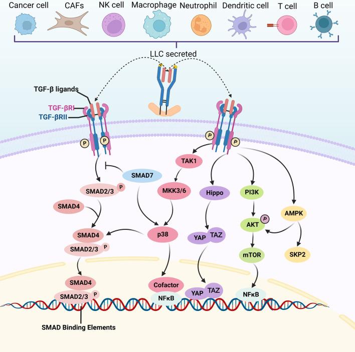 https://cdn.ncbi.nlm.nih.gov/pmc/blobs/3ca7/9482317/879814f01201/13045_2022_1349_Fig2_HTML.jpg