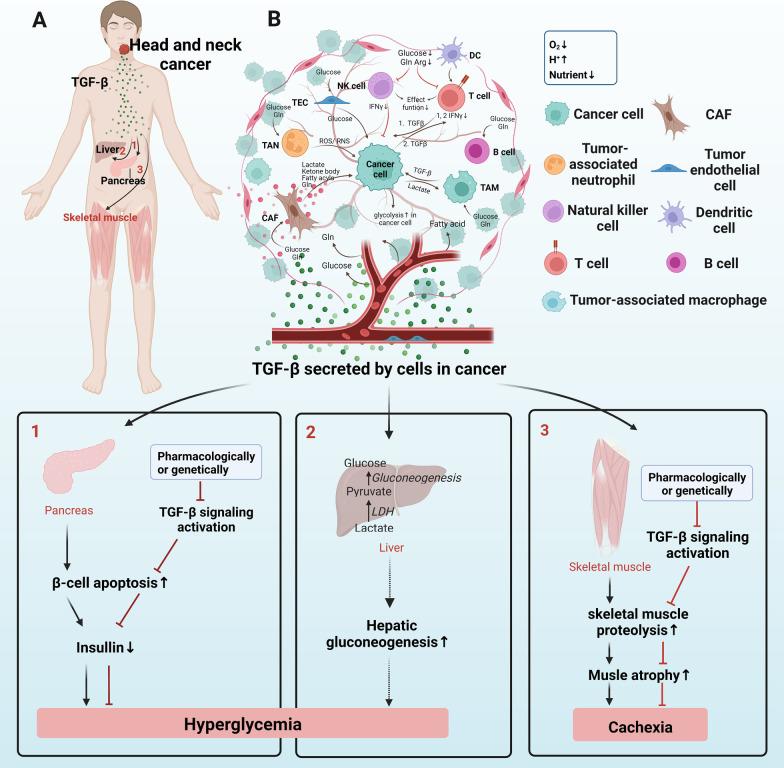 https://cdn.ncbi.nlm.nih.gov/pmc/blobs/3ca7/9482317/b1b9fccd47aa/13045_2022_1349_Fig6_HTML.jpg