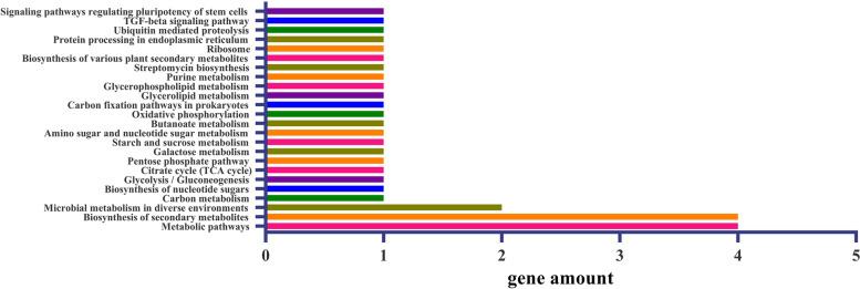 https://cdn.ncbi.nlm.nih.gov/pmc/blobs/3ca8/10074700/684f340c2c72/12870_2023_4147_Fig5_HTML.jpg