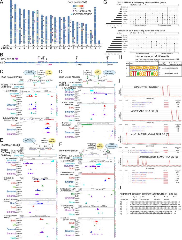https://cdn.ncbi.nlm.nih.gov/pmc/blobs/3ca8/12297475/2d4fbfe54db5/41467_2025_62205_Fig5_HTML.jpg