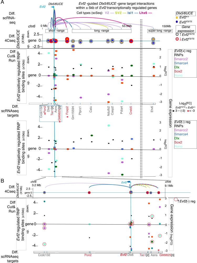 https://cdn.ncbi.nlm.nih.gov/pmc/blobs/3ca8/12297475/34c2da94267c/41467_2025_62205_Fig3_HTML.jpg