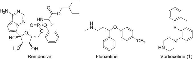 https://cdn.ncbi.nlm.nih.gov/pmc/blobs/3ca8/9114205/25619470f8ed/40199_2022_441_Fig1_HTML.jpg