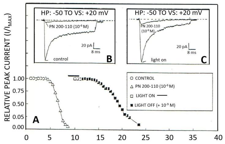 https://cdn.ncbi.nlm.nih.gov/pmc/blobs/3ca9/10218565/8cee409faa6b/ijms-24-08803-g005.jpg