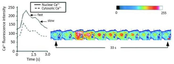 https://cdn.ncbi.nlm.nih.gov/pmc/blobs/3ca9/10218565/e5d2aea5989d/ijms-24-08803-g004.jpg