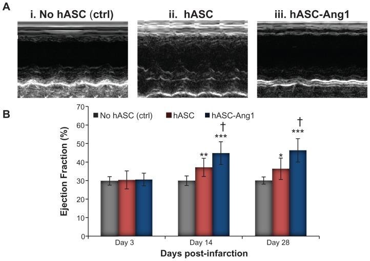 https://cdn.ncbi.nlm.nih.gov/pmc/blobs/3ca9/3278230/01e02f682d84/ijn-7-663f8.jpg