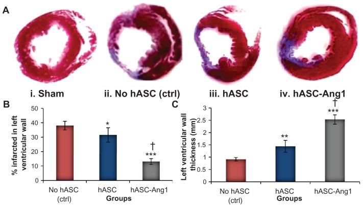 https://cdn.ncbi.nlm.nih.gov/pmc/blobs/3ca9/3278230/1f0f46c2a5af/ijn-7-663f6.jpg