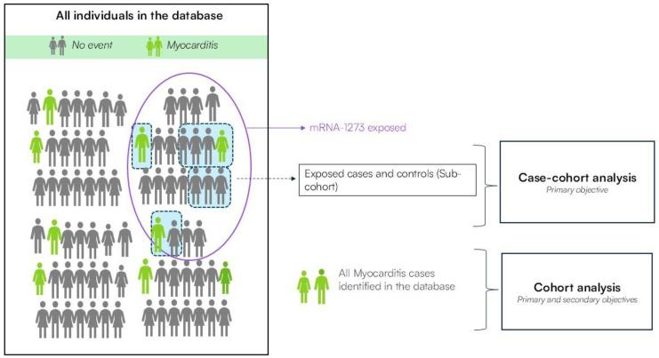 https://cdn.ncbi.nlm.nih.gov/pmc/blobs/3cab/12299067/2b8dda26ebf2/vaccines-13-00755-g001.jpg