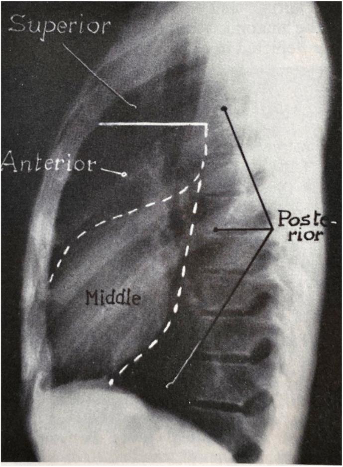 https://cdn.ncbi.nlm.nih.gov/pmc/blobs/3cab/9577664/898838f6080d/gr1.jpg