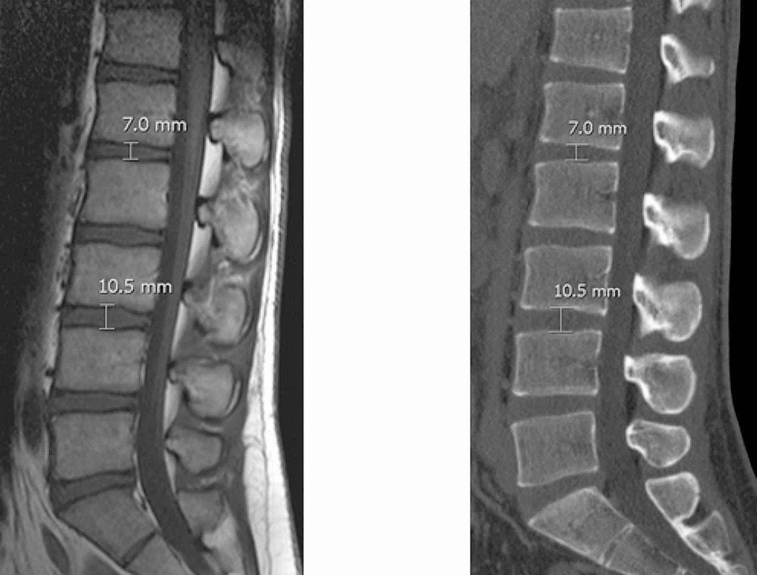 https://cdn.ncbi.nlm.nih.gov/pmc/blobs/3cad/11323600/ecf309ad603e/12880_2024_1395_Fig2_HTML.jpg