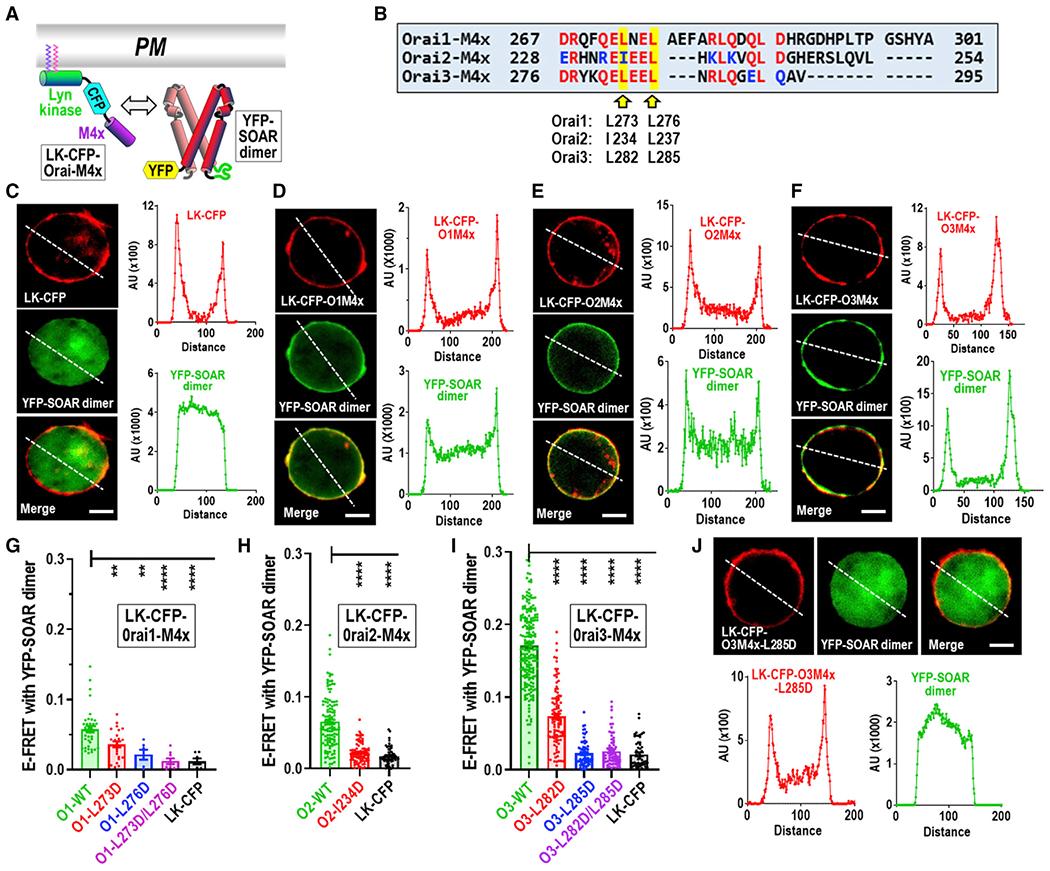 https://cdn.ncbi.nlm.nih.gov/pmc/blobs/3cae/8462482/13b484a43100/nihms-1720097-f0001.jpg