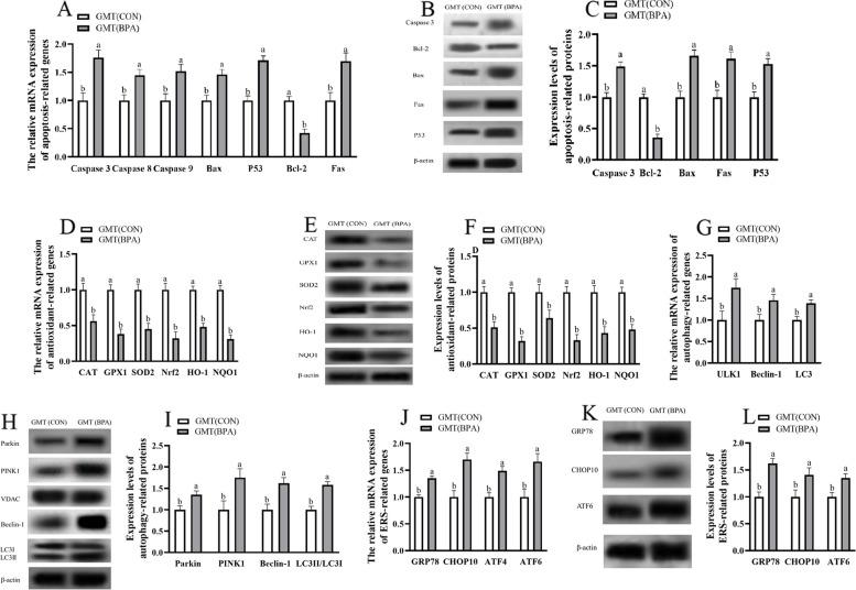 https://cdn.ncbi.nlm.nih.gov/pmc/blobs/3caf/10874076/06364977c2ac/40168_2024_1749_Fig6_HTML.jpg