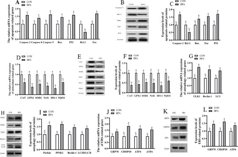 https://cdn.ncbi.nlm.nih.gov/pmc/blobs/3caf/10874076/2a84706d2441/40168_2024_1749_Fig5_HTML.jpg