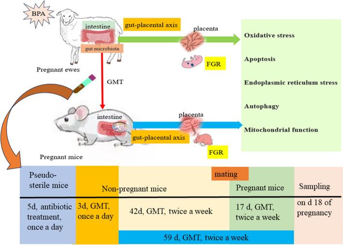 https://cdn.ncbi.nlm.nih.gov/pmc/blobs/3caf/10874076/754bb5d22624/40168_2024_1749_Fig10_HTML.jpg