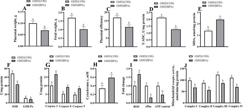 https://cdn.ncbi.nlm.nih.gov/pmc/blobs/3caf/10874076/d1ac227f77fa/40168_2024_1749_Fig1_HTML.jpg