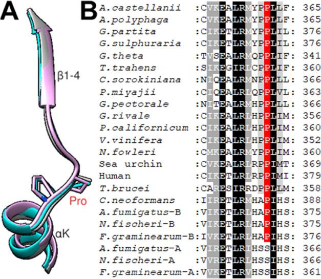 https://cdn.ncbi.nlm.nih.gov/pmc/blobs/3cb1/11089504/87c7940396e9/jm4c00303_0001.jpg