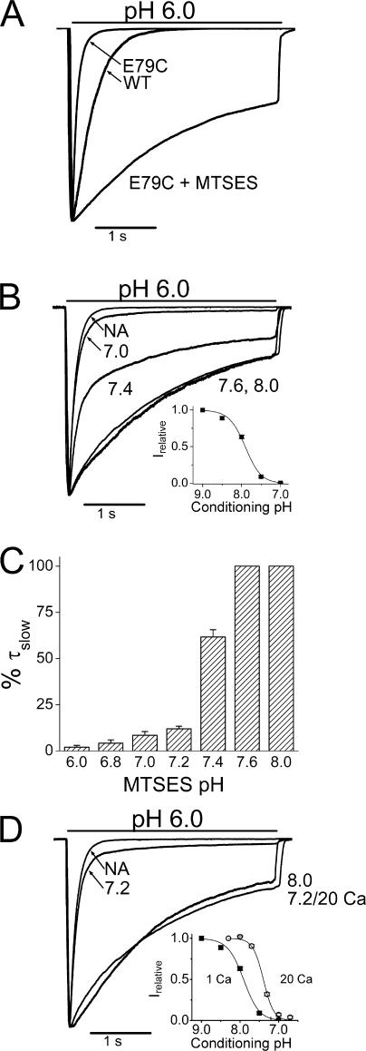 https://cdn.ncbi.nlm.nih.gov/pmc/blobs/3cb3/2151616/2240e5a8b653/jgp1290345f03.jpg