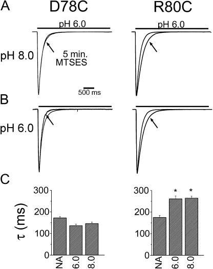 https://cdn.ncbi.nlm.nih.gov/pmc/blobs/3cb3/2151616/a6aa16ea4f15/jgp1290345f05.jpg