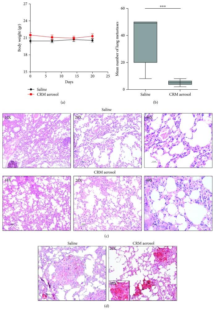 https://cdn.ncbi.nlm.nih.gov/pmc/blobs/3cb4/6609366/e16491521a00/JIR2019-2015892.001.jpg