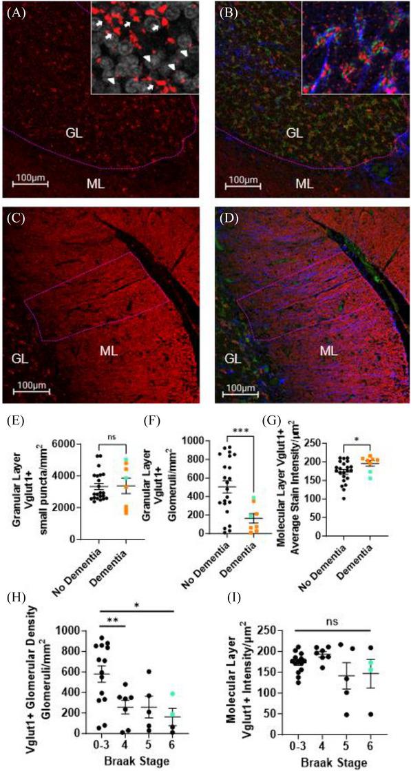 https://cdn.ncbi.nlm.nih.gov/pmc/blobs/3cb5/11848203/64753cc2549b/ALZ-21-e14428-g003.jpg