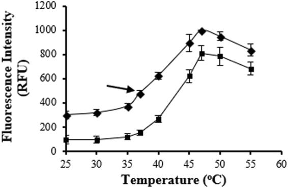 https://cdn.ncbi.nlm.nih.gov/pmc/blobs/3cb5/5995822/ac454d3a64a3/41598_2018_26764_Fig5_HTML.jpg