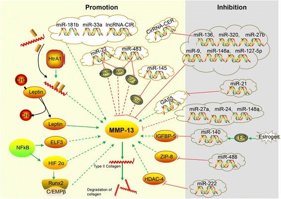 https://cdn.ncbi.nlm.nih.gov/pmc/blobs/3cb6/5681770/fd5014e04b3d/13075_2017_1454_Fig1_HTML.jpg
