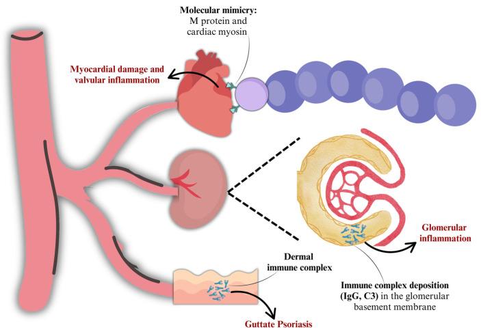 https://cdn.ncbi.nlm.nih.gov/pmc/blobs/3cb8/12195500/4a0bd01463c4/microorganisms-13-01398-g003.jpg