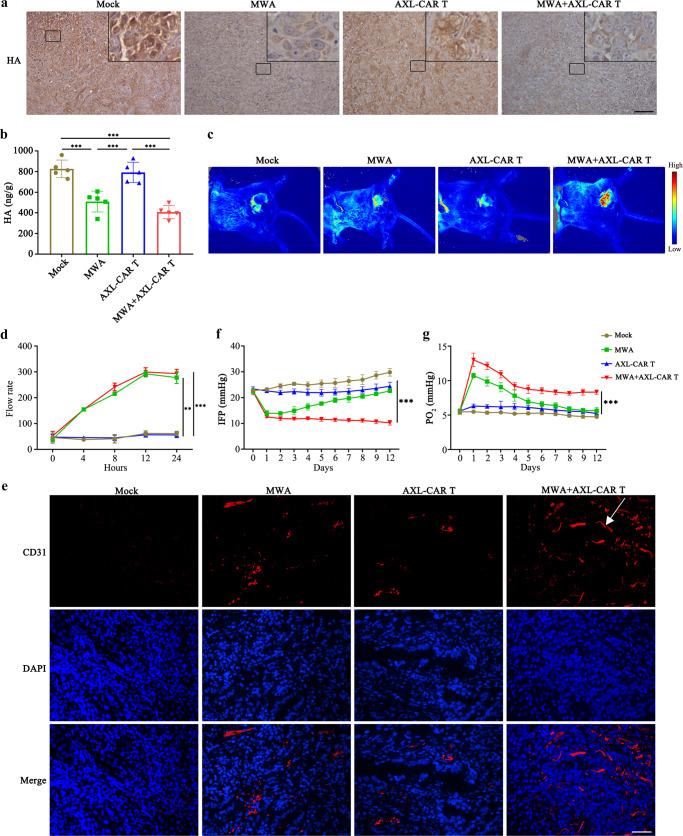 https://cdn.ncbi.nlm.nih.gov/pmc/blobs/3cb8/9581911/08e02584afef/41467_2022_33968_Fig5_HTML.jpg