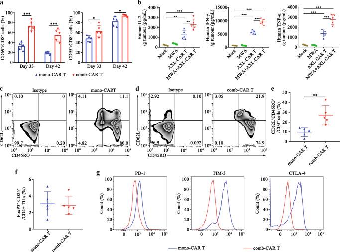 https://cdn.ncbi.nlm.nih.gov/pmc/blobs/3cb8/9581911/62c657157491/41467_2022_33968_Fig6_HTML.jpg
