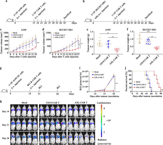 https://cdn.ncbi.nlm.nih.gov/pmc/blobs/3cb8/9581911/8d5488269a7e/41467_2022_33968_Fig2_HTML.jpg