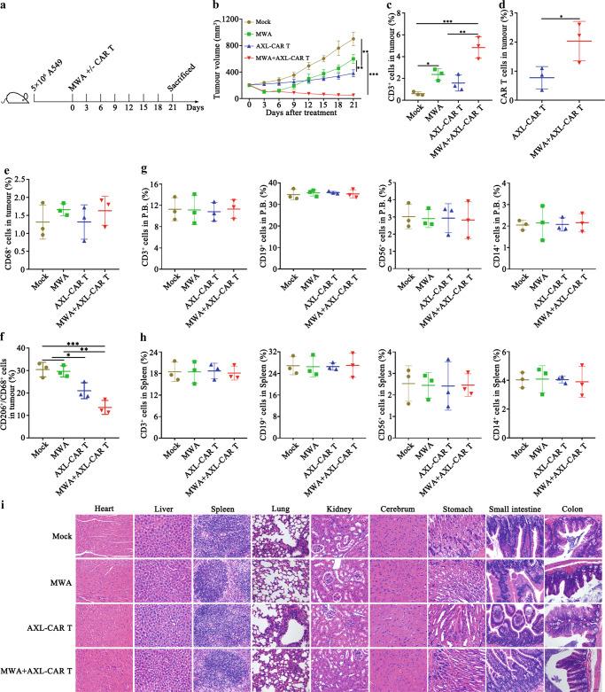 https://cdn.ncbi.nlm.nih.gov/pmc/blobs/3cb8/9581911/b97cf5afeb8a/41467_2022_33968_Fig8_HTML.jpg