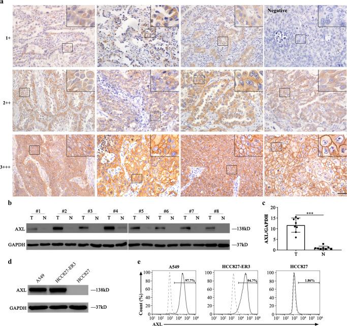 https://cdn.ncbi.nlm.nih.gov/pmc/blobs/3cb8/9581911/be131a0796c4/41467_2022_33968_Fig1_HTML.jpg