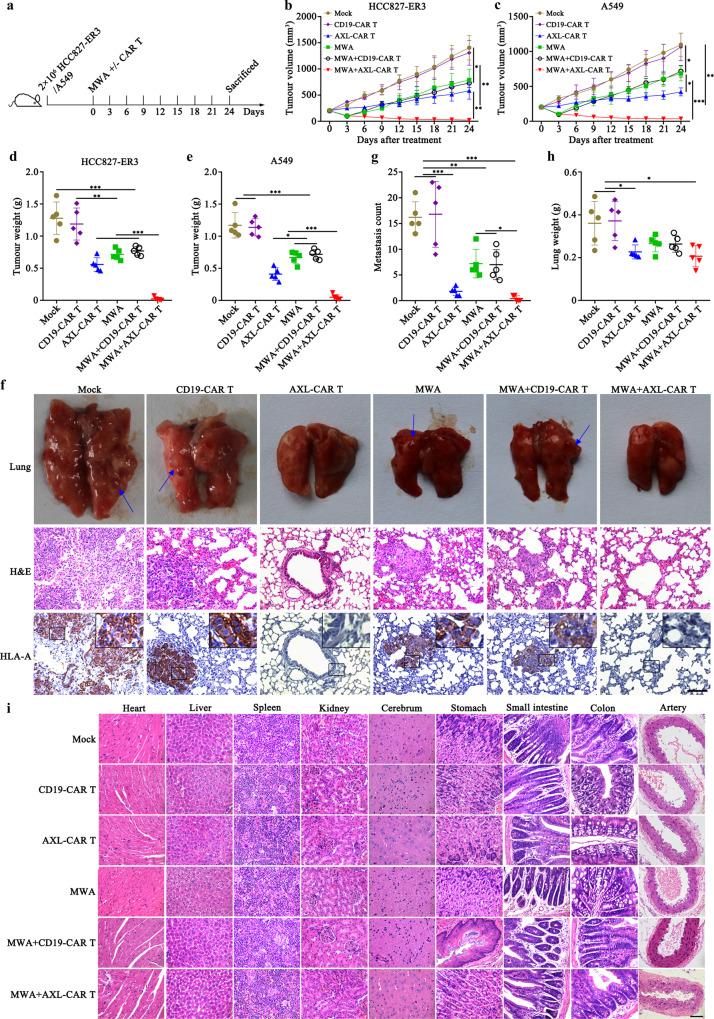 https://cdn.ncbi.nlm.nih.gov/pmc/blobs/3cb8/9581911/f2a0d99f79a5/41467_2022_33968_Fig3_HTML.jpg