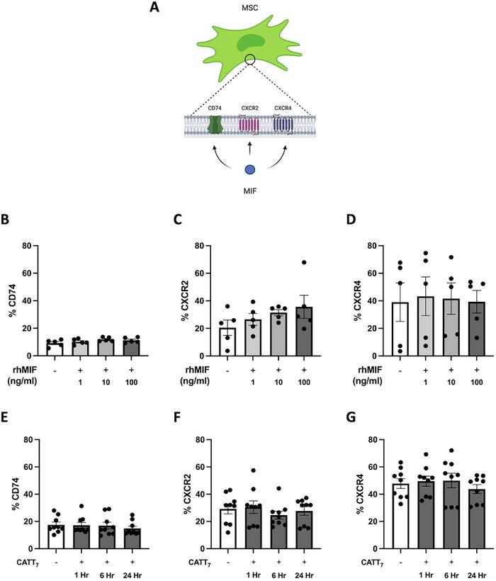 https://cdn.ncbi.nlm.nih.gov/pmc/blobs/3cb9/11739667/dcc409cfd07a/EJI-55-e202451205-g002.jpg