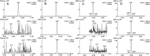 https://cdn.ncbi.nlm.nih.gov/pmc/blobs/3cb9/2844525/33f66b239414/216_2010_3523_Fig6_HTML.jpg
