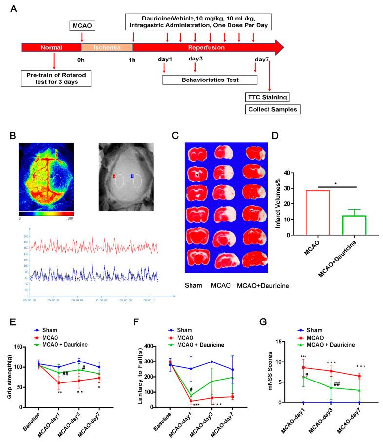 https://cdn.ncbi.nlm.nih.gov/pmc/blobs/3cba/9496994/28bfa25fc481/brainsci-12-01153-g002.jpg