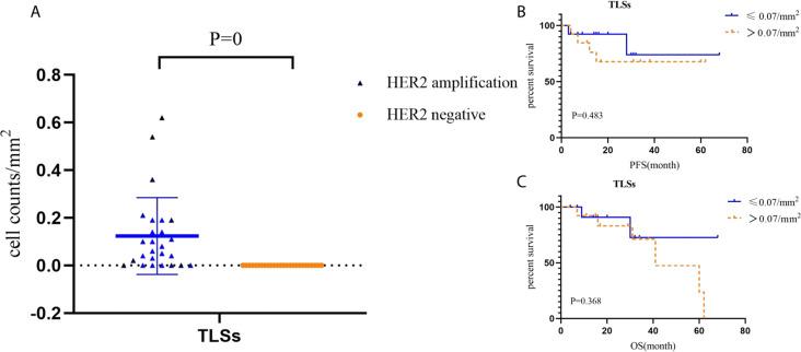 https://cdn.ncbi.nlm.nih.gov/pmc/blobs/3cbb/10162038/143eefa844f3/peerj-11-15261-g007.jpg