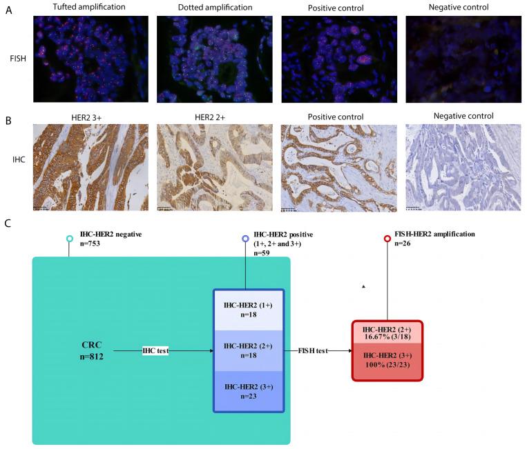 https://cdn.ncbi.nlm.nih.gov/pmc/blobs/3cbb/10162038/c7a002da3e85/peerj-11-15261-g002.jpg
