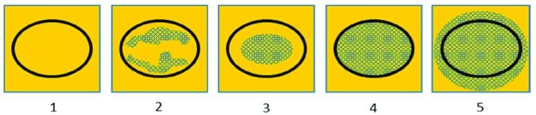 https://cdn.ncbi.nlm.nih.gov/pmc/blobs/3cbb/6726464/d6cb454ec6ab/motai6-2935721.jpg