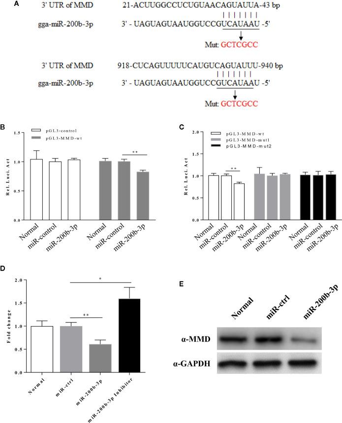 https://cdn.ncbi.nlm.nih.gov/pmc/blobs/3cbd/7555432/da8d9ba77b68/fimmu-11-563143-g005.jpg