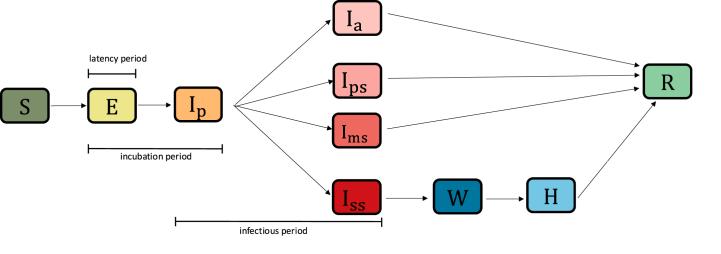 https://cdn.ncbi.nlm.nih.gov/pmc/blobs/3cbe/11459620/02a6e1fd3e2f/gr1.jpg