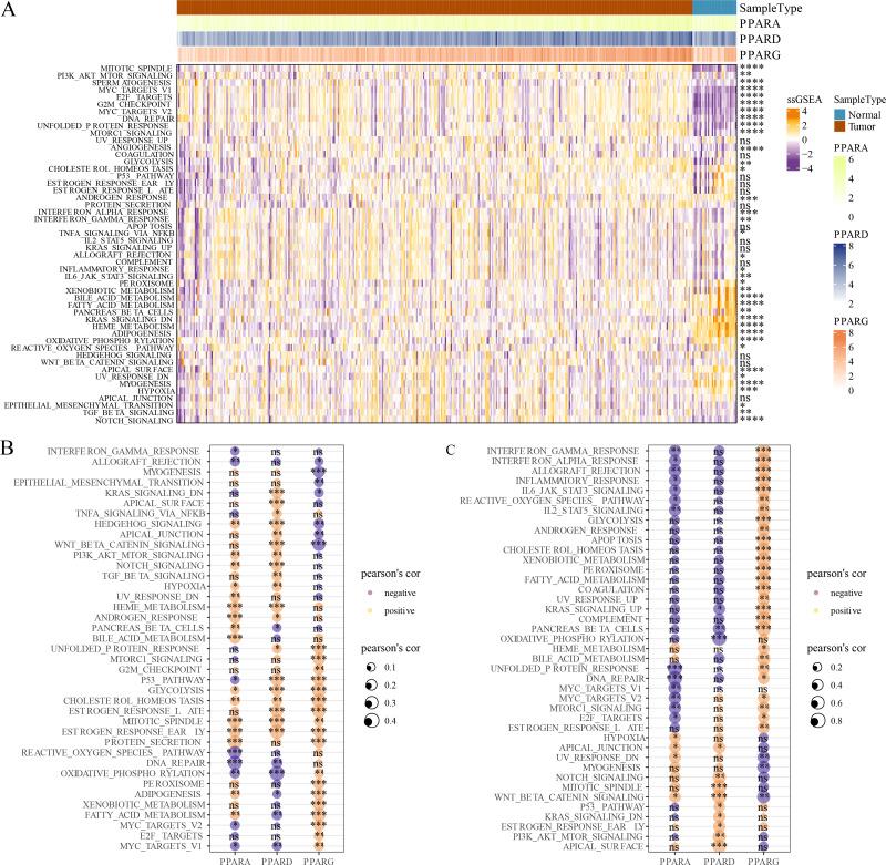 https://cdn.ncbi.nlm.nih.gov/pmc/blobs/3cc0/10962337/85c736ace2b9/peerj-12-17082-g005.jpg